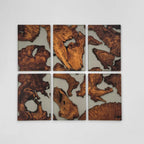 Set of 6 wood and transparent grey epoxy river Wall Art live edge Wall Decor Home decor Wall hanging Unique Home Gift - MOOKA FURNITURE