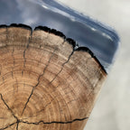 Carbonized wood resin stump stool end table home decorate - MOOKA FURNITURE